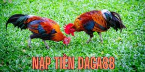 Tài khoản phải đúng chính chủ