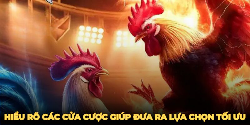 Hiểu rõ các cửa cược đá gà nòi giúp bạn đưa ra lựa chọn tối ưu