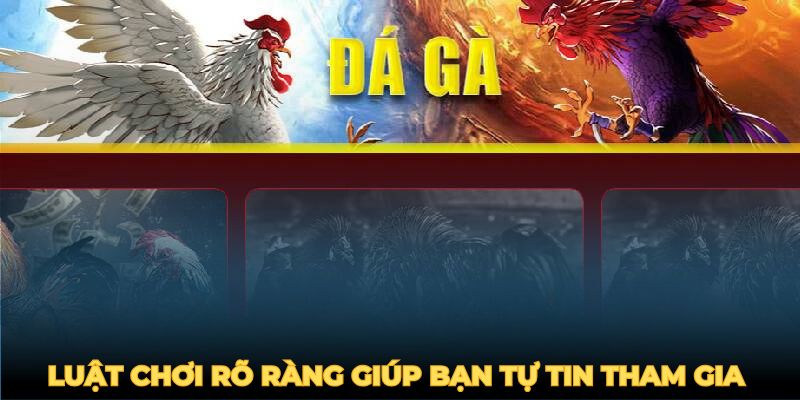 Luật chơi rõ ràng giúp bạn tự tin tham gia cá cược đá gà nòi